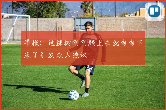 早报：这棵树刚刚爬上去就匆匆下来了引发众人热议