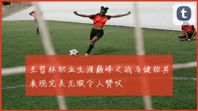 王哲林职业生涯巅峰之战马健称其表现完美无瑕令人赞叹
