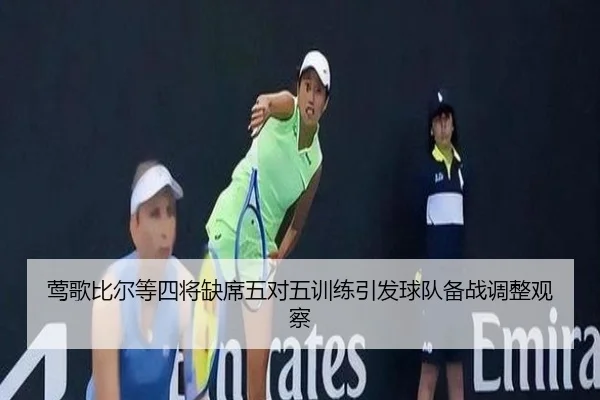 莺歌比尔等四将缺席五对五训练引发球队备战调整观察